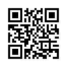 QR CODE 529