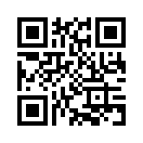 QR CODE 538
