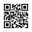 QR CODE 544