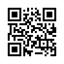 QR CODE 3010