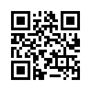 QR CODE 3077