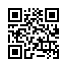 QR CODE 3133