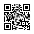 QR CODE 3253