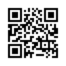 QR CODE 3921