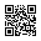 QR CODE 4217