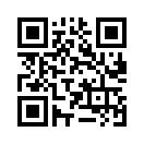 QR CODE 4251