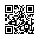 QR CODE 4291