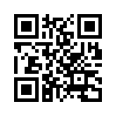 QR CODE 110