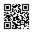 QR CODE 27