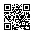 QR CODE 42