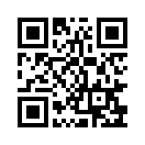 QR CODE 133