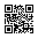 QR CODE 1336