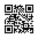 QR CODE 2081