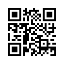 QR CODE 2393