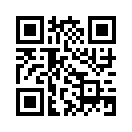 QR CODE 2461