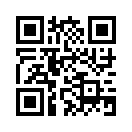 QR CODE 2713