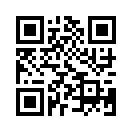 QR CODE 329