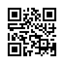 QR CODE 447