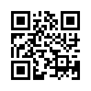 QR CODE 494