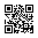 QR CODE 528