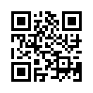 QR CODE 993