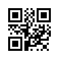 QR CODE 110