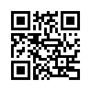 QR CODE 995
