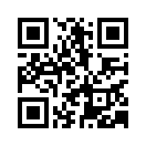 QR CODE 110