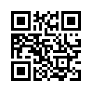 QR CODE 1238