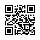 QR CODE 133