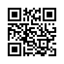 QR CODE 1333