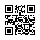 QR CODE 1337