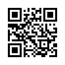 QR CODE 317