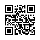 QR CODE 402