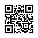 QR CODE 494