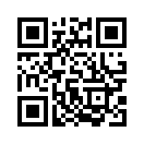 QR CODE 738