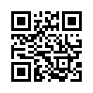 QR CODE 771