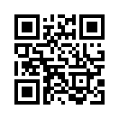 QR CODE 813