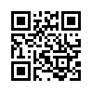 QR CODE 856