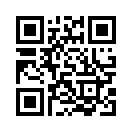 QR CODE 993