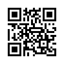 QR CODE 519
