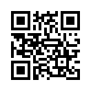 QR CODE 737