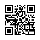 QR CODE 31