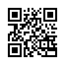 QR CODE 38