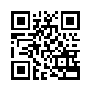 QR CODE 41
