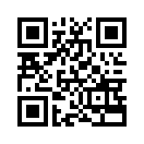 QR CODE 53