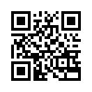 QR CODE 58