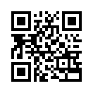 QR CODE 91