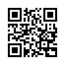 QR CODE 205