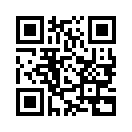 QR CODE 206